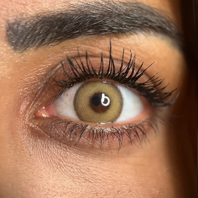 Sahara